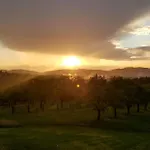 Kotar - Klima A 7 Mist Za 1 Cenu * Haluzice