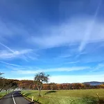 Kotar - Klima A 7 Mist Za 1 Cenu Haluzice