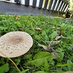 Kotar - Klima A 7 Mist Za 1 Cenu Villa Haluzice