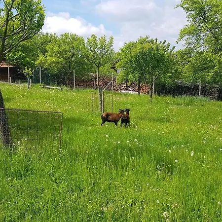 Kotár - 7 Míst Za 1 Cenu Villa *