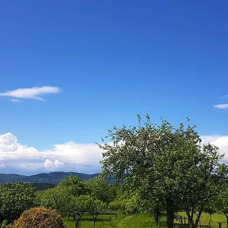 Villa Kotár - 7 Míst Za 1 Cenu *