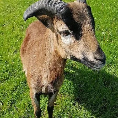 Kotar - 7 Mist Za 1 Cenu Villa *