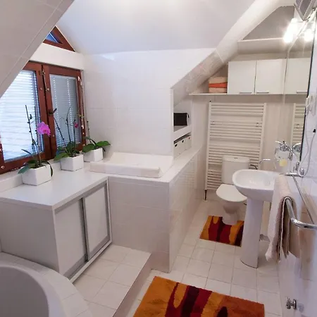 Kotar - 7 Mist Za 1 Cenu Villa *