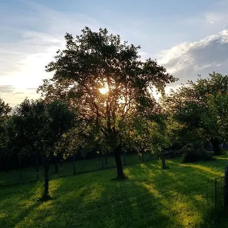 Kotar - 7 Mist Za 1 Cenu Villa *