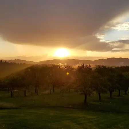 Kotar - 7 Mist Za 1 Cenu * Haluzice