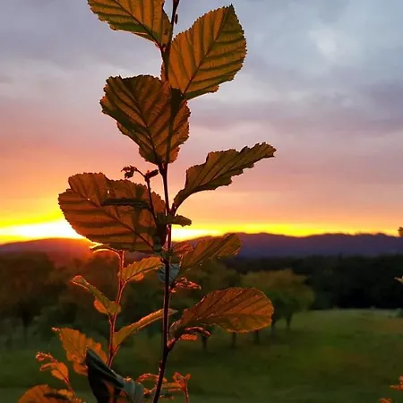 Kotar - 7 Mist Za 1 Cenu *