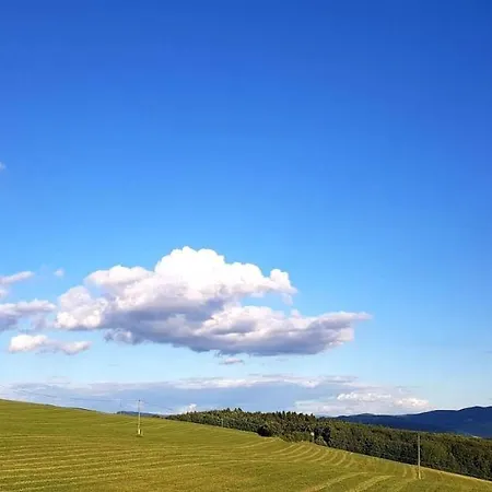 Kotár - 7 Míst Za 1 Cenu Haluzice
