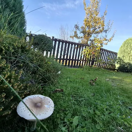 Villa Kotar - 7 Mist Za 1 Cenu *